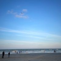 original sound - AairynCitrus