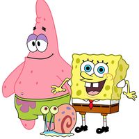 suponjii.bob