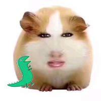 usergeorge672