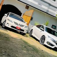 arslankayani80