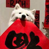 guanghbhf05
