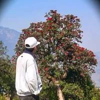 original sound - jajarkoti___kanxo