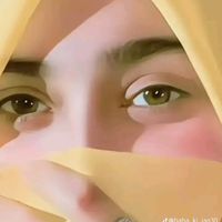 rajput24247