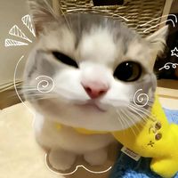 majoy_910