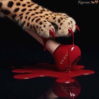 shahdmohamed22910