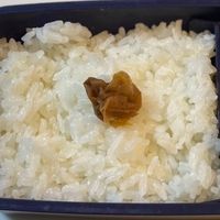 okomepakupaku