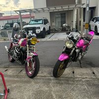 daito313