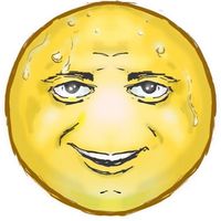 bagchip