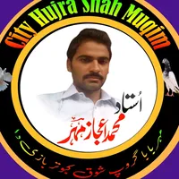 original sound - meharbaba7138