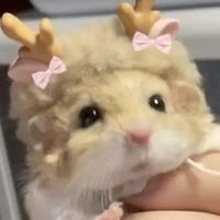 malleowo_.3