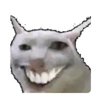niggy_mo