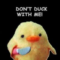 mr.duck_97