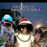 sonido original