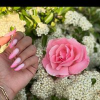 memmedliays
