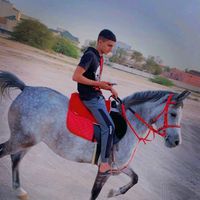 khalil__84