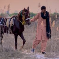 gondal_2727