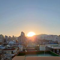 오리지널 사운드 - 봄날은온다