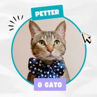 petterogato