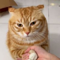 meocamdeptrai