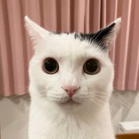 オリジナル楽曲 - まつもとたける