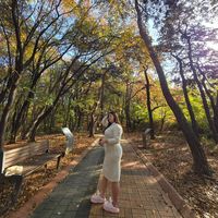 bow_543