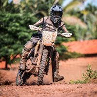 renesilveira01
