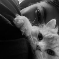 willloveyoutodeathh