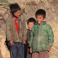 pema7396