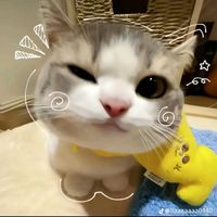 suara asli - ptatwii🧢😁