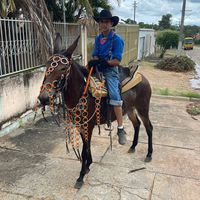 antoniolps1