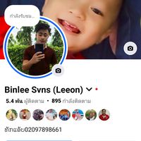 binleesvns