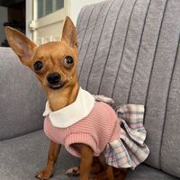 mara10588