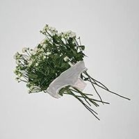 オリジナル楽曲 - 国木田独歩