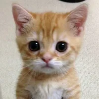 original sound - maksimka_bober_123