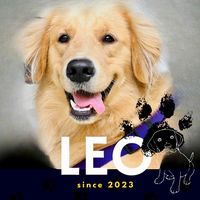 leos_golden_tales