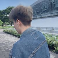 a_aom2536