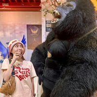 เสียงต้นฉบับ - malimalimaleehee