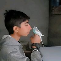 ladla_ansari_804