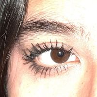 _vvlentin_aaaa_