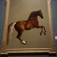 almashael1