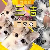 sankichi.3kyoudai