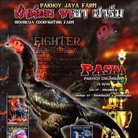 suara asli - PAKHOY JAYA FRAM