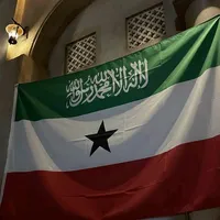 original sound - cazio15