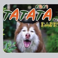 tatata_215