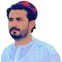 faridpashteen