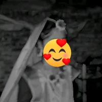 original sound - monika.akhter44