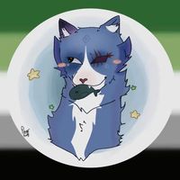 no_oa057