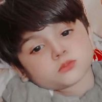 hussainqureshi1155