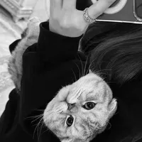 Instasamka хлопай speed up