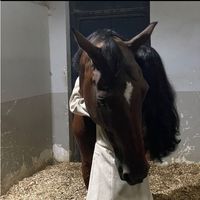 alyai40